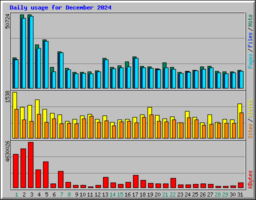 Daily usage for December 2024