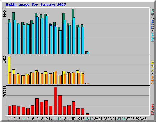 Daily usage for January 2025