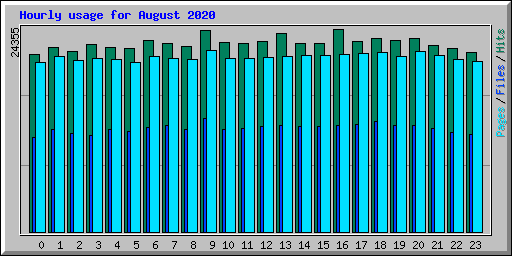 Hourly usage for August 2020