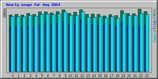 Hourly usage for May 2024