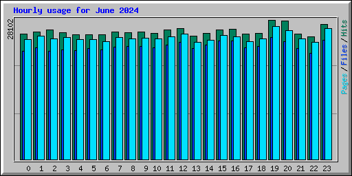 Hourly usage for June 2024