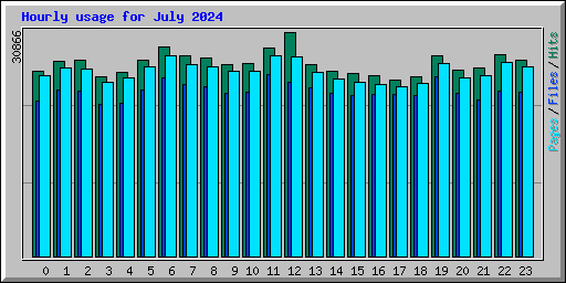 Hourly usage for July 2024