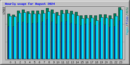 Hourly usage for August 2024