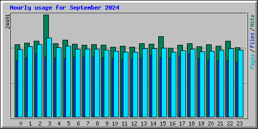 Hourly usage for September 2024