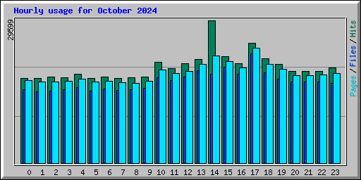 Hourly usage for October 2024