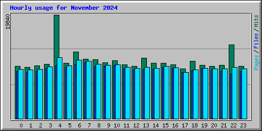 Hourly usage for November 2024