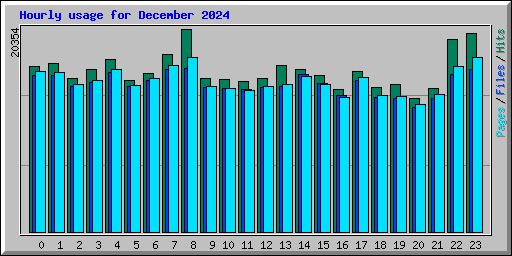 Hourly usage for December 2024