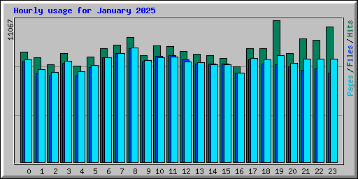 Hourly usage for January 2025