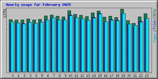 Hourly usage for February 2025