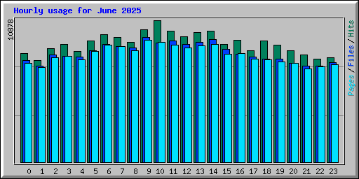 Hourly usage for June 2025