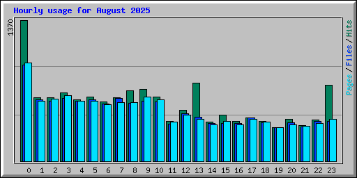 Hourly usage for August 2025