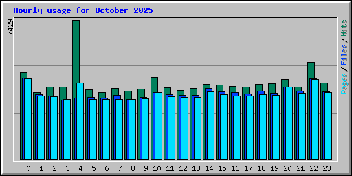 Hourly usage for October 2025