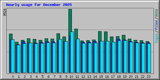 Hourly usage for December 2025