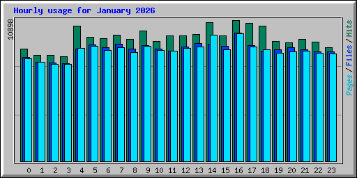 Hourly usage for January 2026